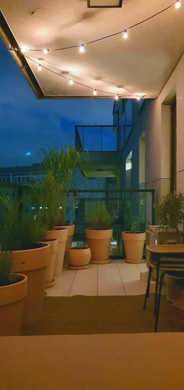 Taras wieczorem - donice, rośliny, widok na okolicę